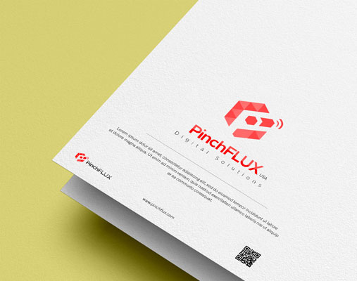 PinchFLux Brand Identity